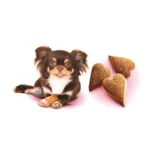 Brit Care Dog Mini Treats, Mood | 50g